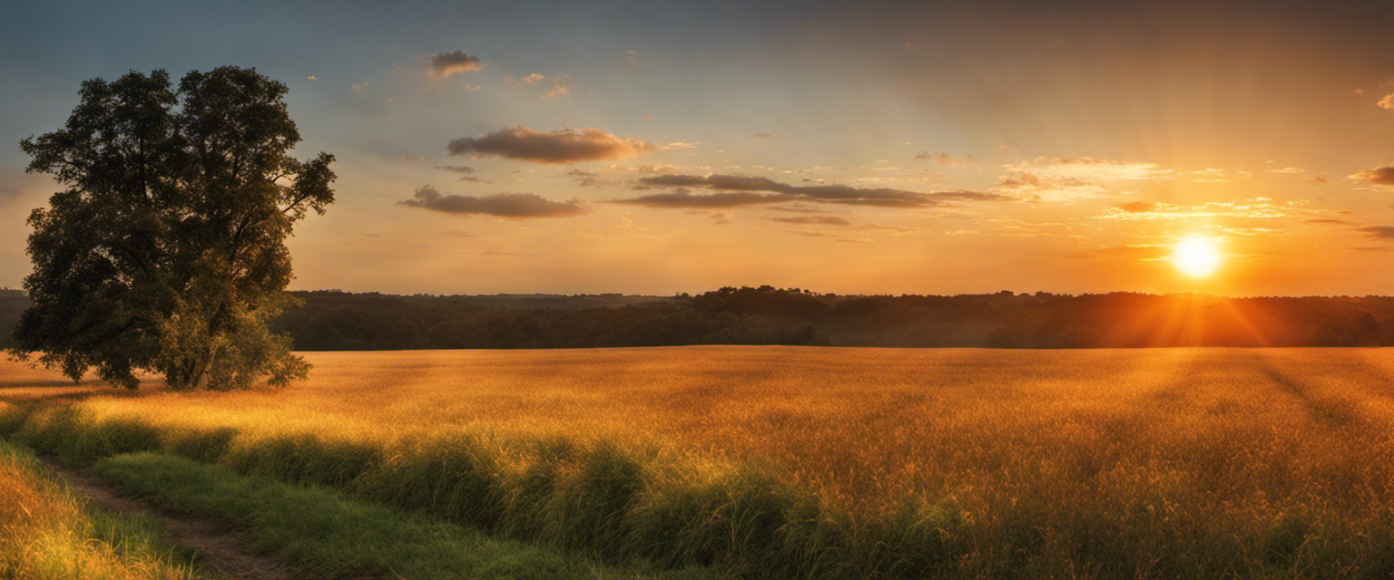 A photorealistic image of a radiant sun rising over a vast field, symbolizing the journey of faith and the healing power of scripture