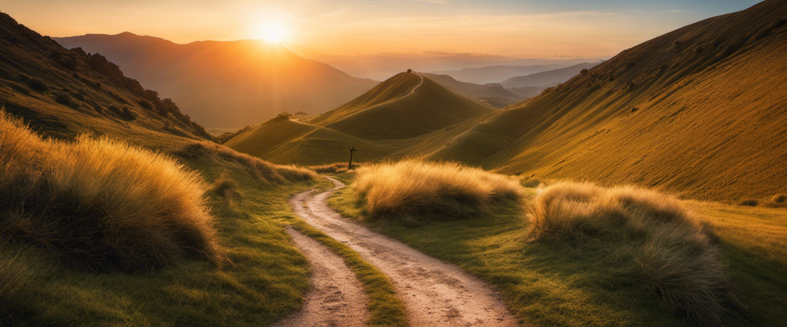 A Path Illuminated by the Warm Glow of Sunrise