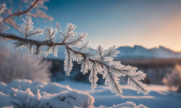 Faith Over Frost: Trusting God in the Frosty Trials of Life (2024-01-16)