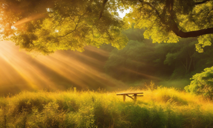 Sun-Kissed Scriptures: Embracing the Radiance of God’s Word | June 1, 2024